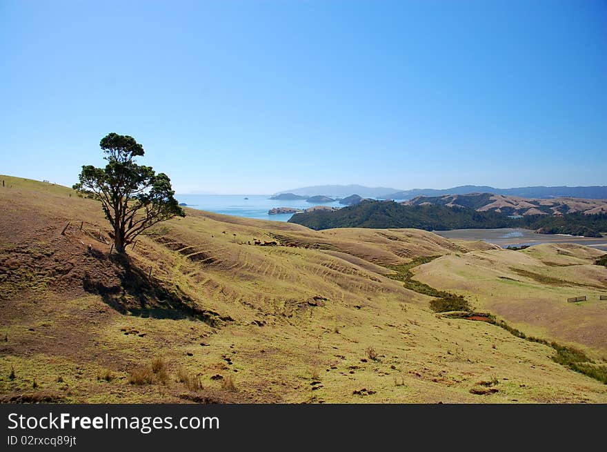 View out to the Pacific from the winding roads of the Coromandel Peninsula, New Zealand