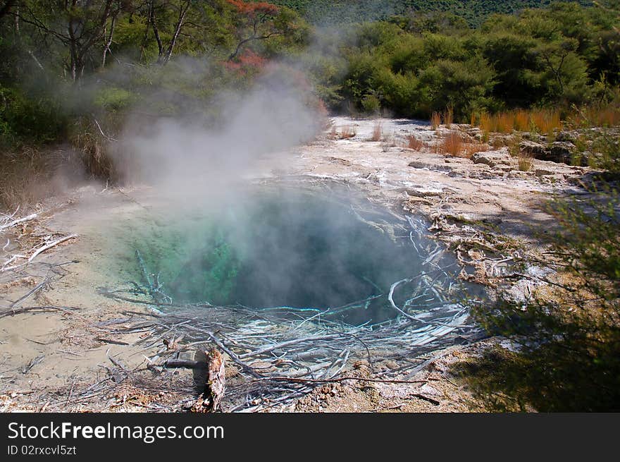 Steam rises from a hot pool in the Turangi Hot Springs, New Zealand