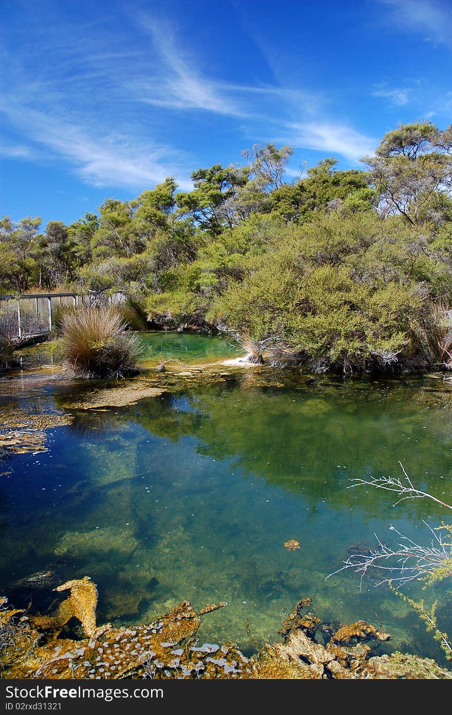 Turangi Hot Springs