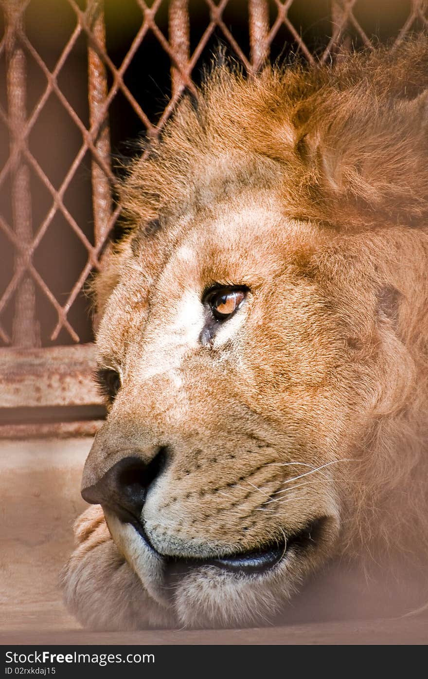 You will realize the valuable
of freedom when you look this face and look. You will realize the valuable
of freedom when you look this face and look.