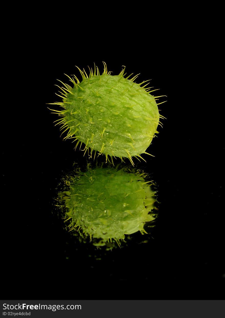 Same green fruits on black background with water drops