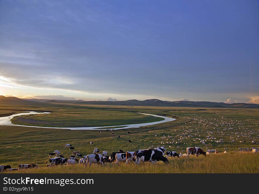 The brilliant sunset glow on summer prairies of Inner Mongolia, China. The brilliant sunset glow on summer prairies of Inner Mongolia, China