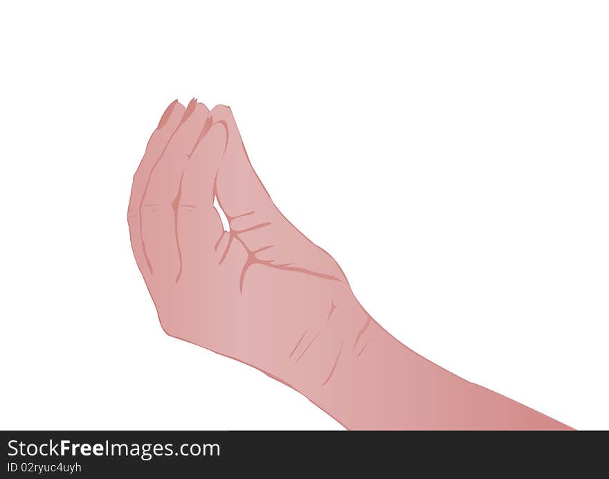 Vector illustration a female hand on a white background. Vector illustration a female hand on a white background