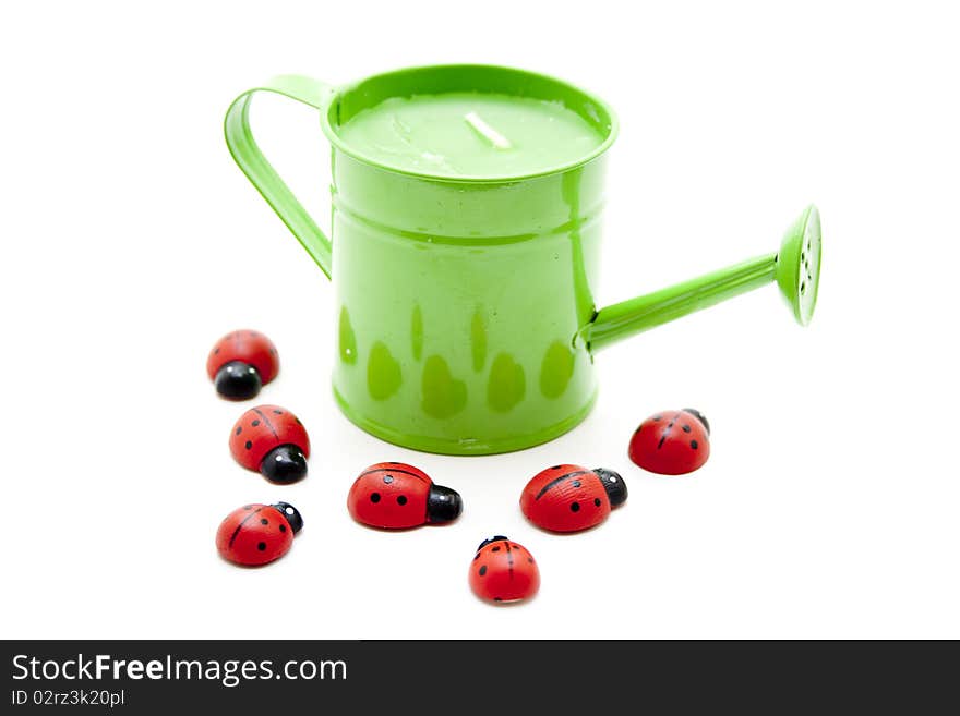 Watering Can With Ladybird