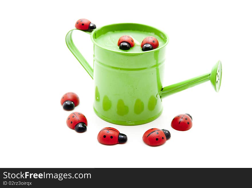 Watering can with ladybird