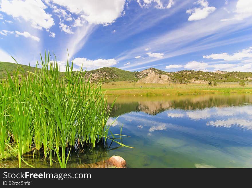 Green golf course in Colorado. Green golf course in Colorado