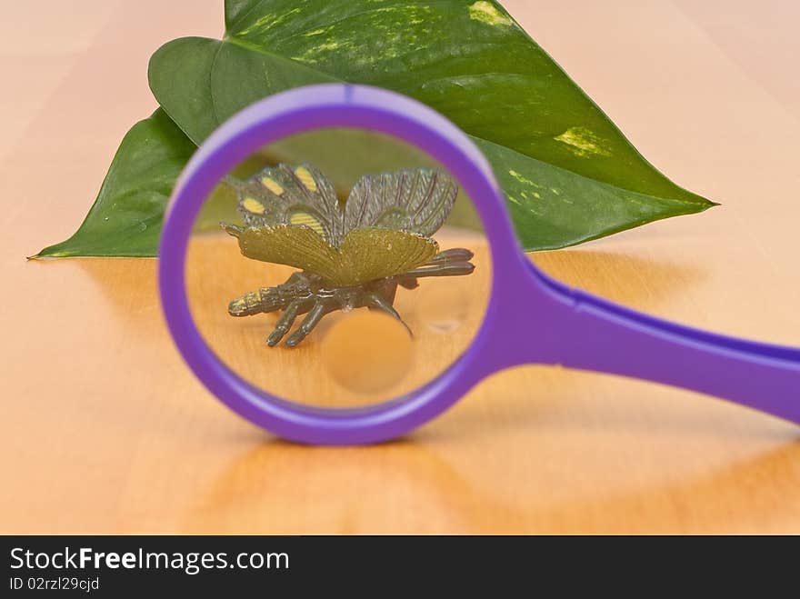 Toy Insect Magnified by Magnifying Glass