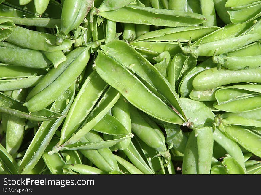 Empty pea pods.