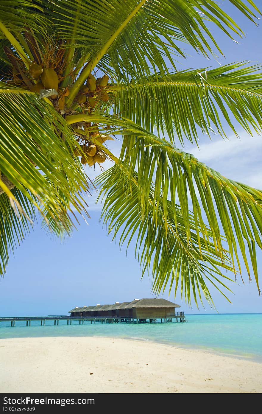 Maldives Beach