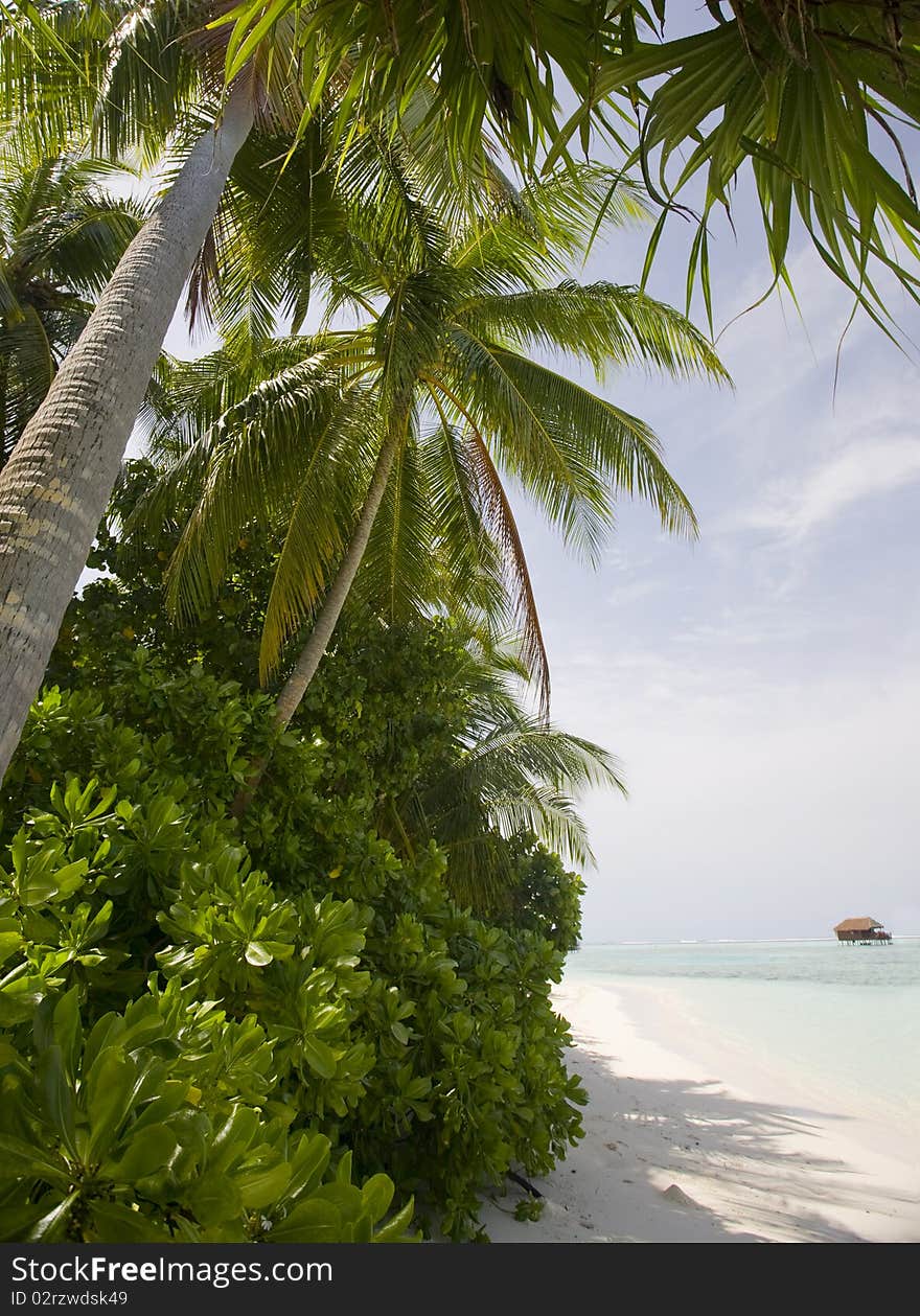 Medhufushi Island Resort is naturally quiet, serene place. Medhufushi Island Resort is naturally quiet, serene place