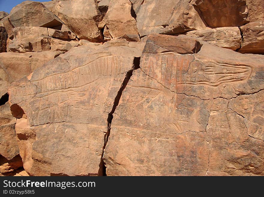 Rock engraving, Libya