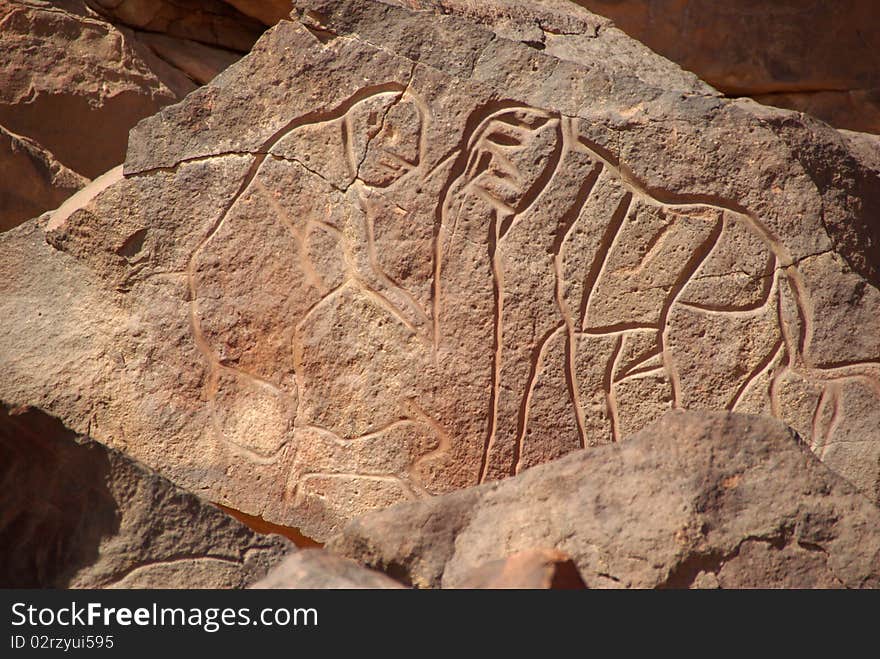 Rock engraving, Libya