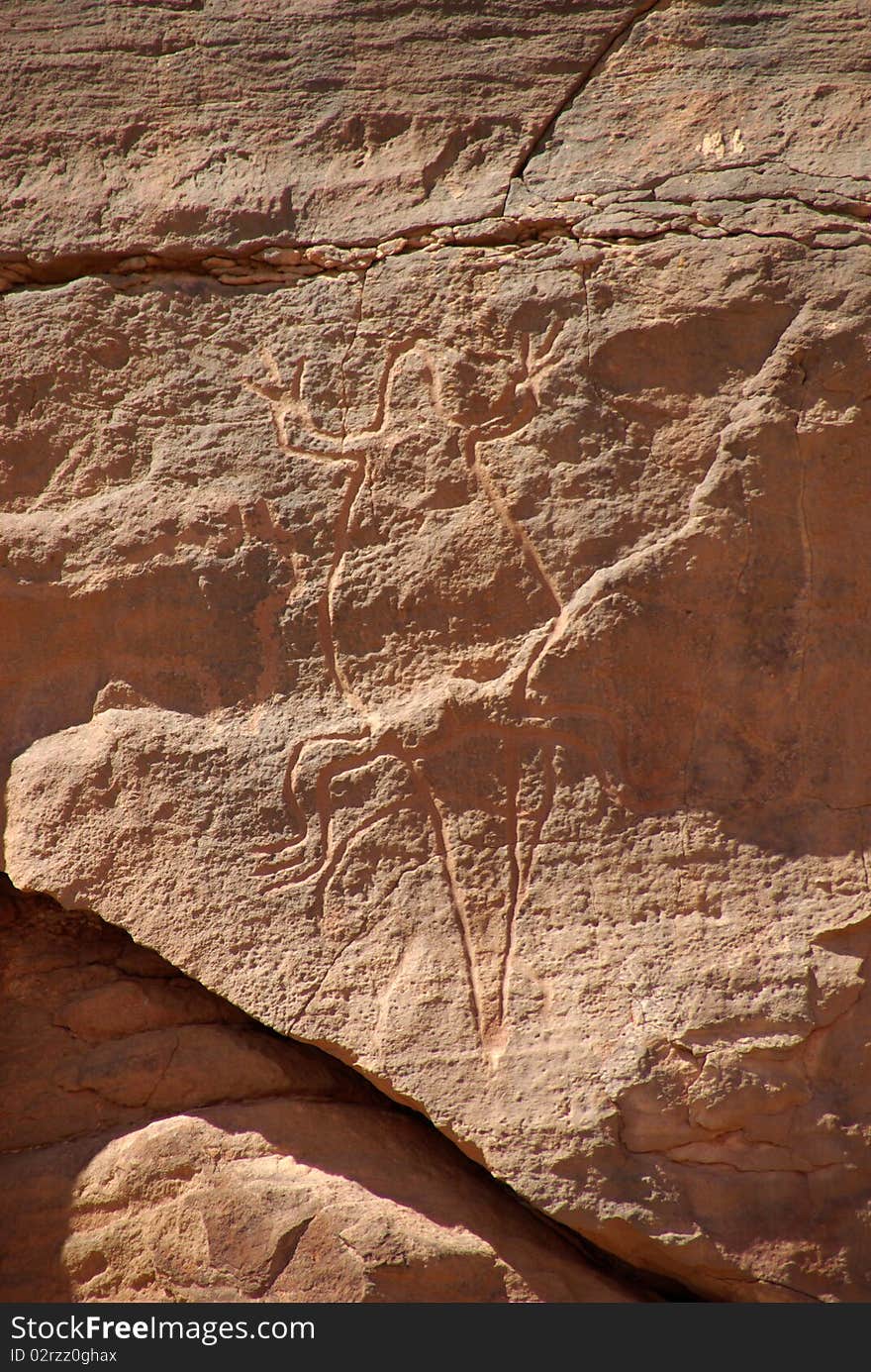 Rock engraving in the desert of Libya, in Africa. Rock engraving in the desert of Libya, in Africa