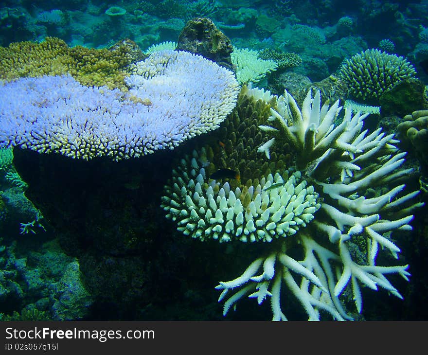 Deep water of Indian ocean, Maldives. Deep water of Indian ocean, Maldives