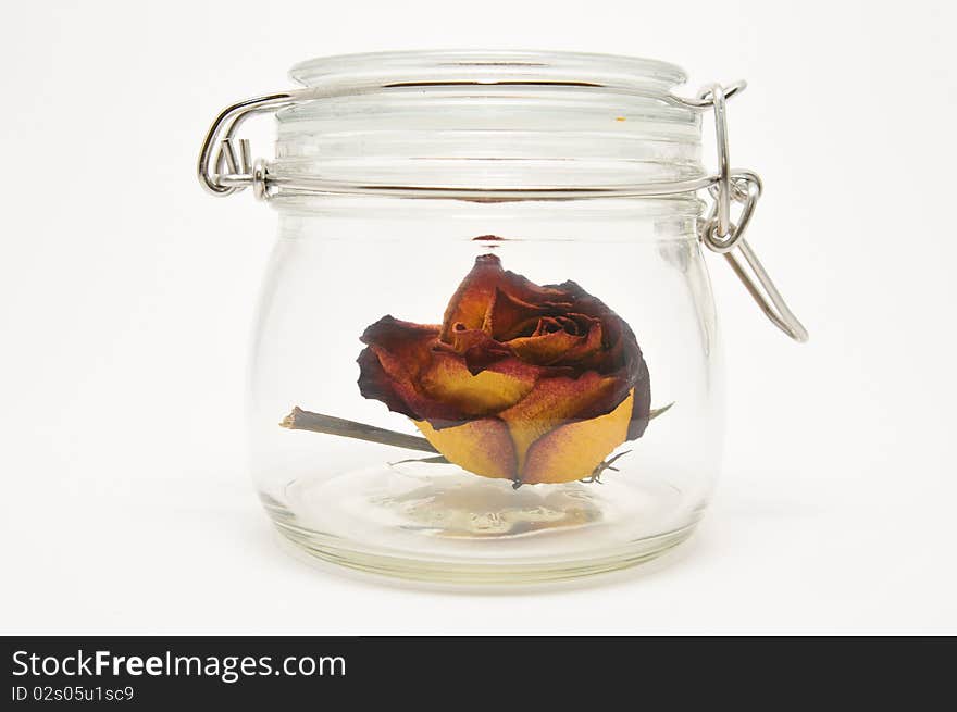 Dry rose in a jar. Dry rose in a jar