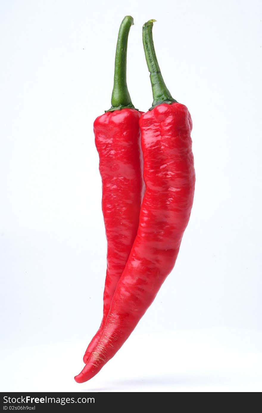 Red hot chili on white background. Red hot chili on white background