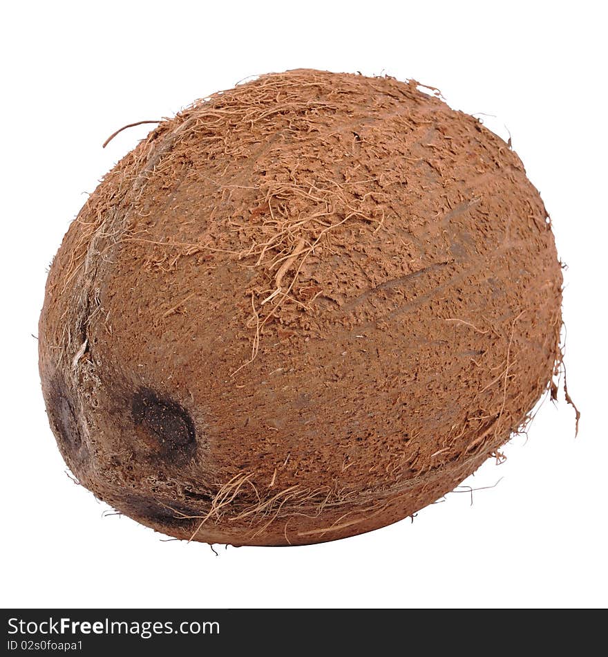 Coconut