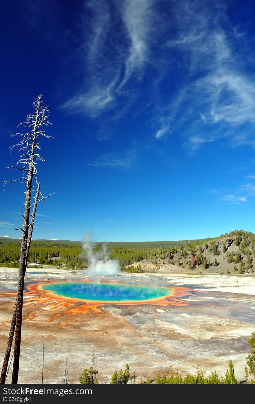 Stunning colors of The Grand Prismatic Spring on a sunny day. Yellowstone National Park