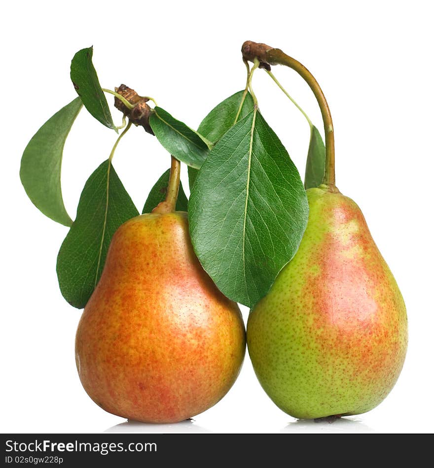 Red pears with leaves isolated