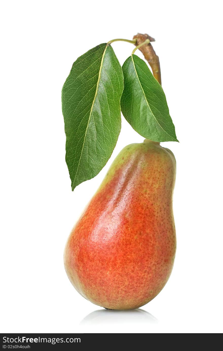 Red Pear With Leaves Isolated