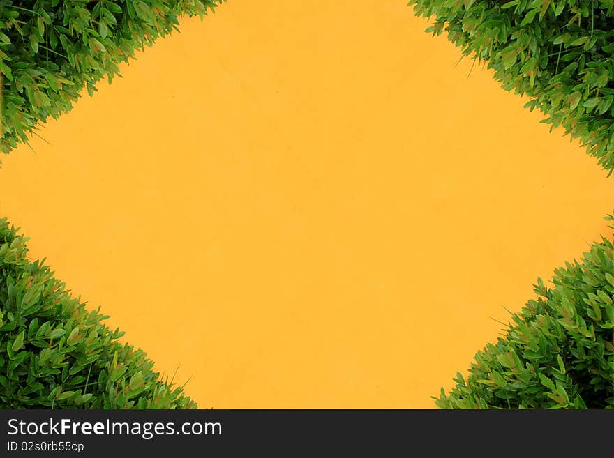 Yellow wall and bush background