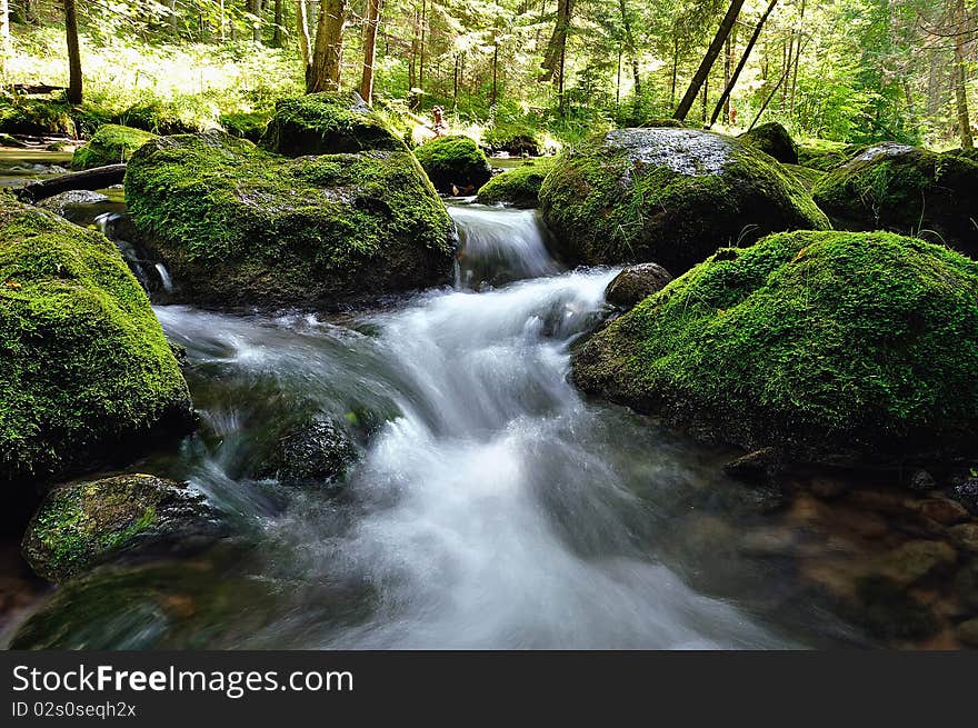 Wet stones in the wild river