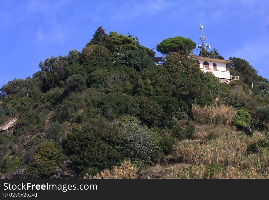 House in a wood