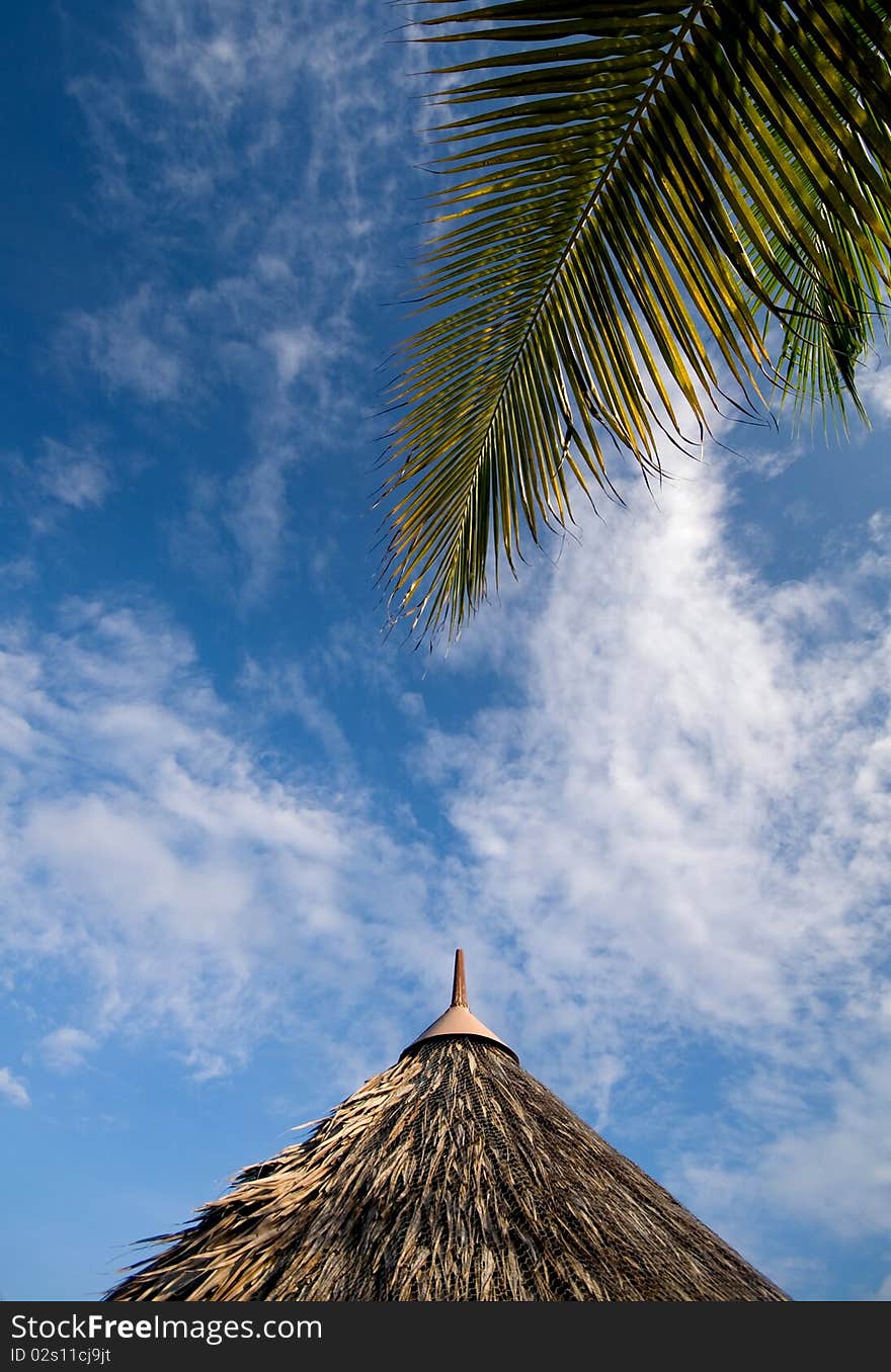 A roof of parasol and coconut tree leaf. A roof of parasol and coconut tree leaf