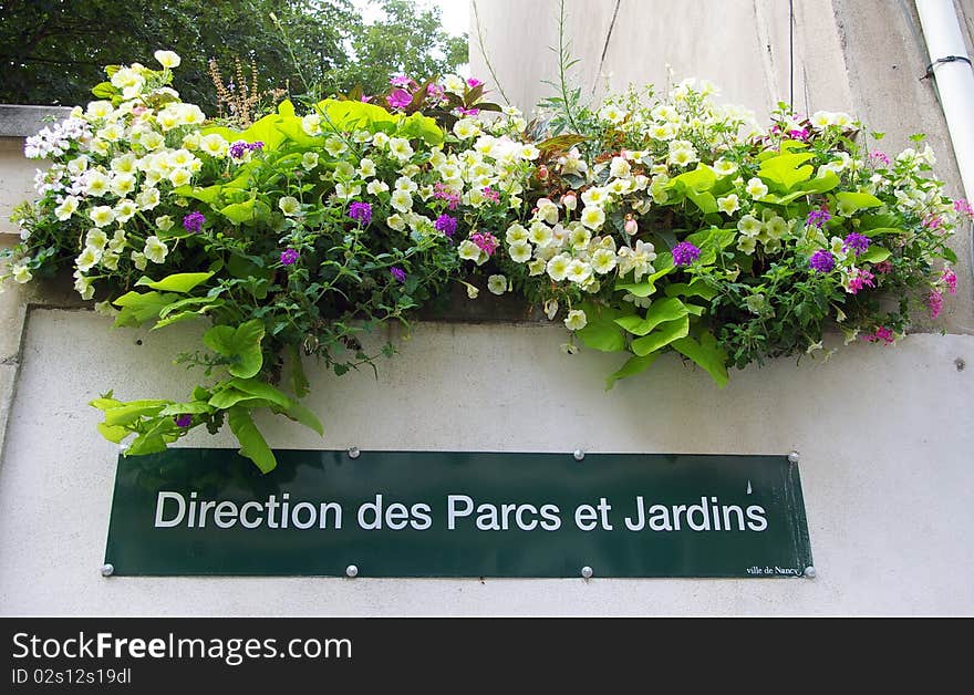 Fower-box at the office of the management of parks and gardens in Metz, Lorraine, France. Fower-box at the office of the management of parks and gardens in Metz, Lorraine, France