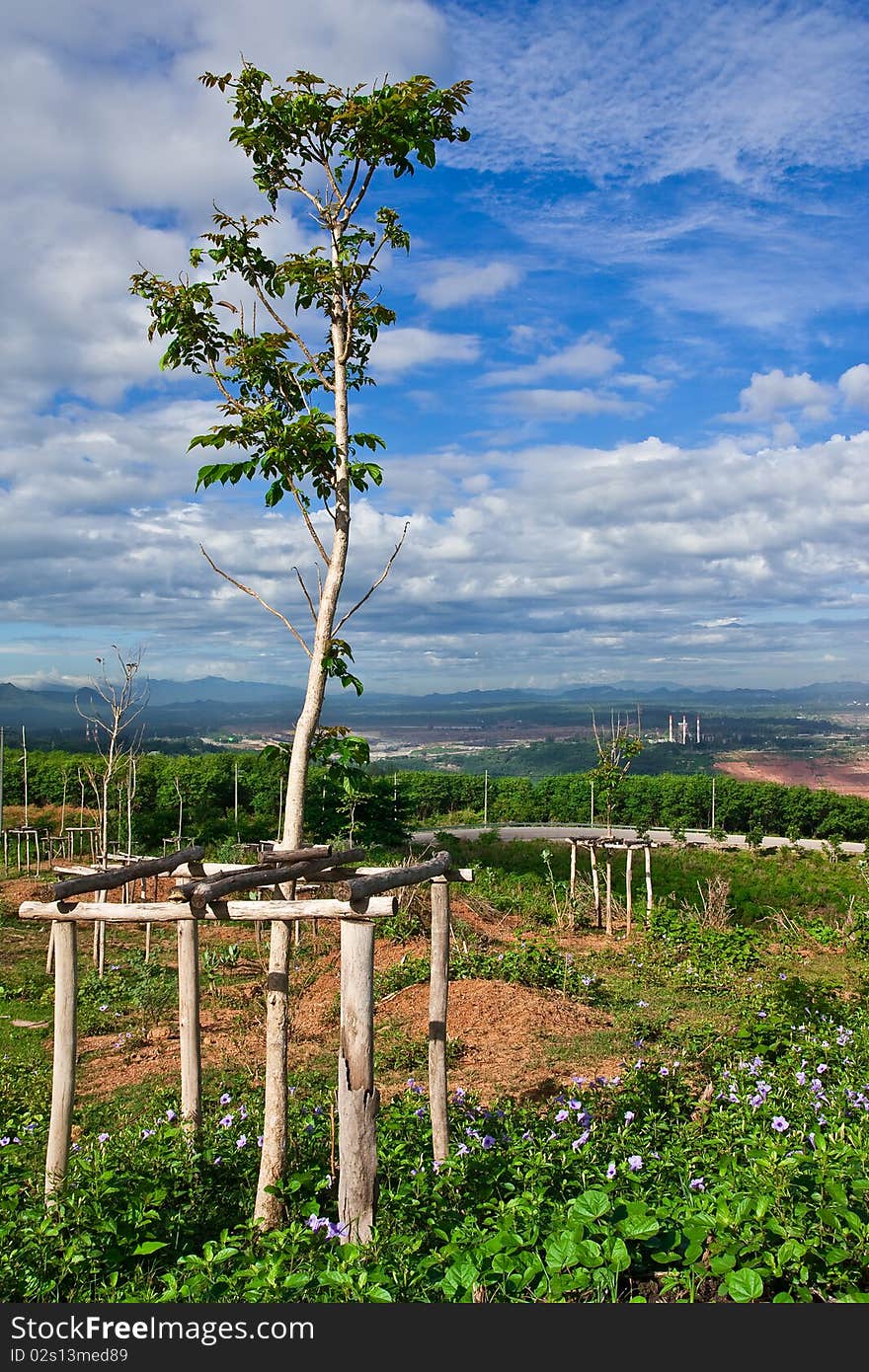 Environment reservation in electric plant, north of Thailand. Environment reservation in electric plant, north of Thailand