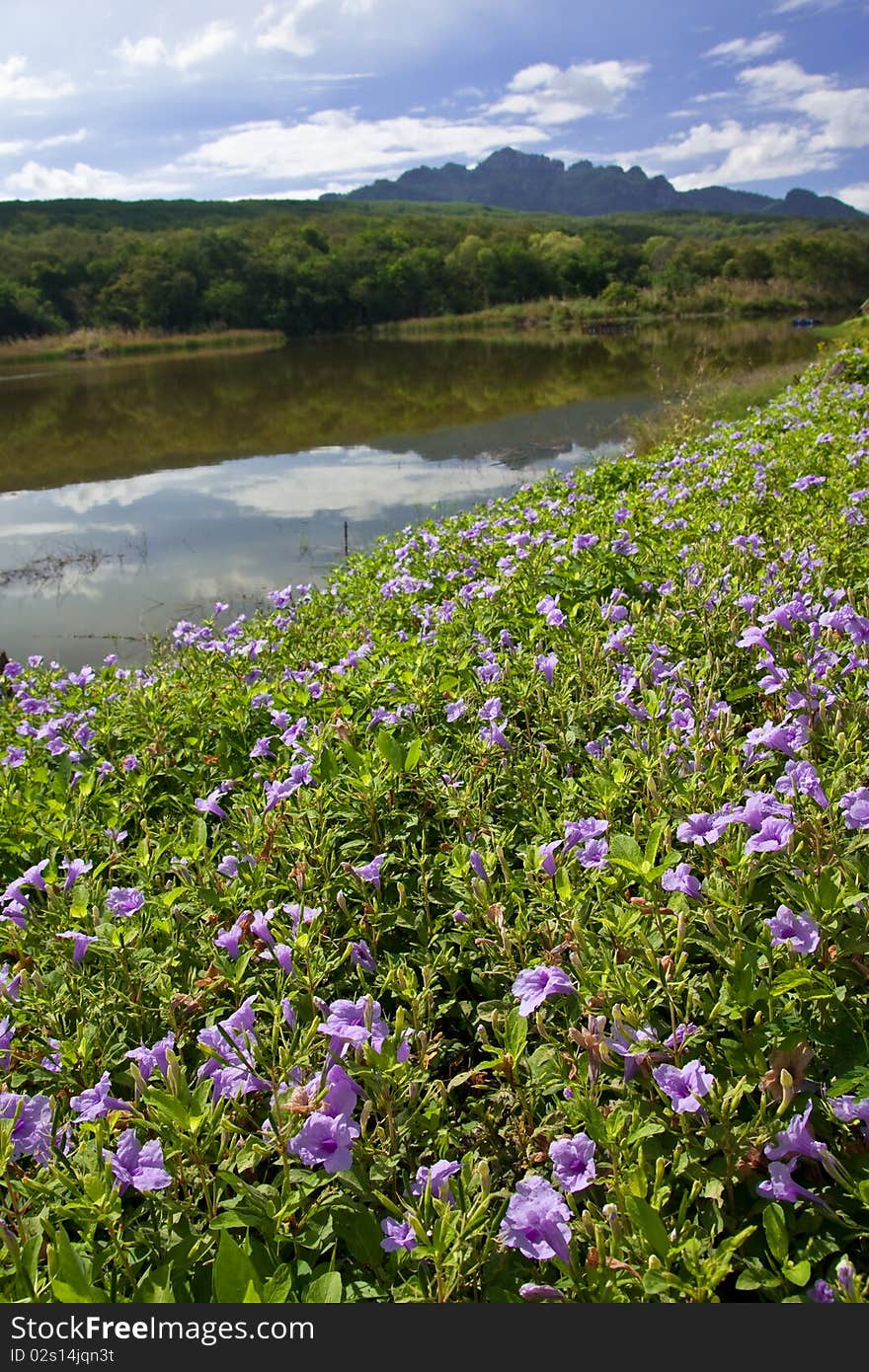 View of high mountain in northern Thailand. View of high mountain in northern Thailand