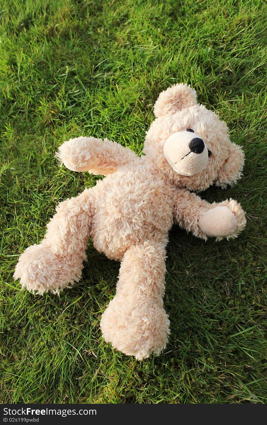 A cute teddy bear lying on grass from above. A cute teddy bear lying on grass from above