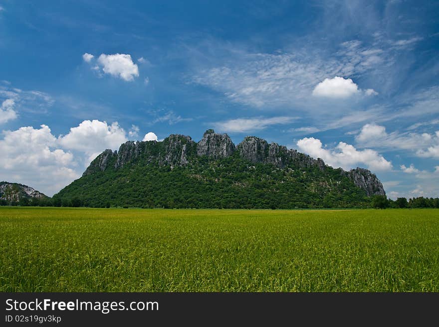 View of rice field in north of Thailand