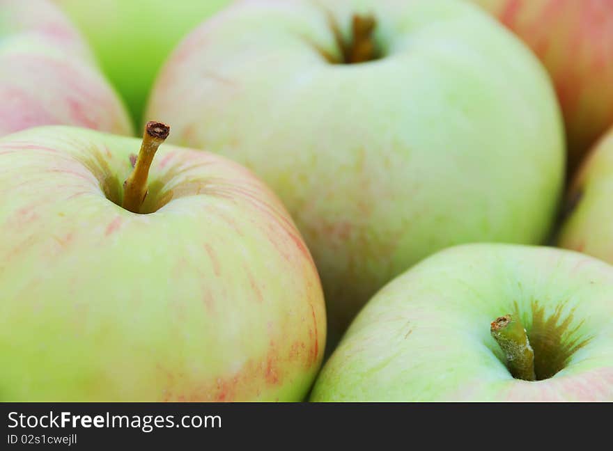 Close-up of ripe green apples.