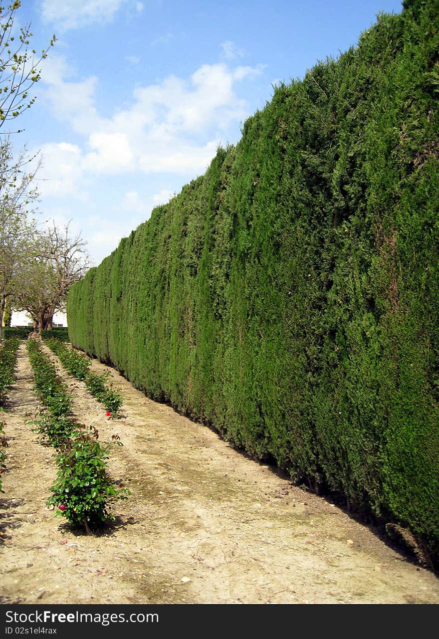 Street in the park in Seville.Spain