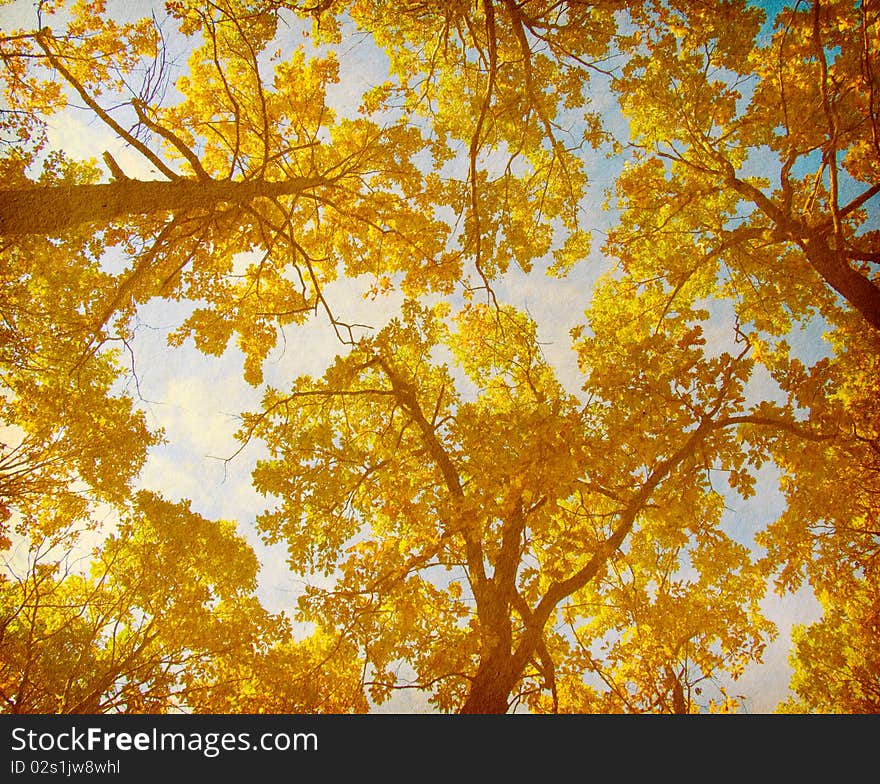 Old paper. retro image of Autumn Trees on the sky background. Old paper. retro image of Autumn Trees on the sky background