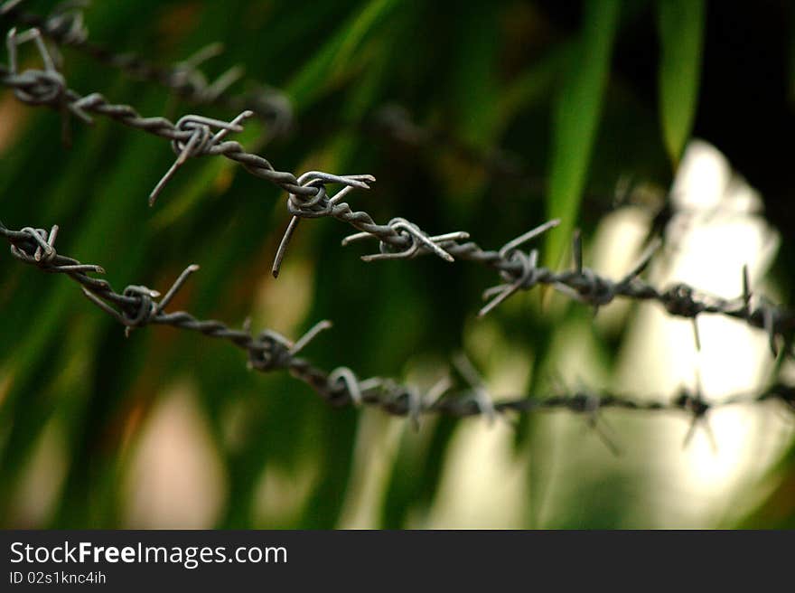 Barbed wire fence. Low depth of field, blurred background.