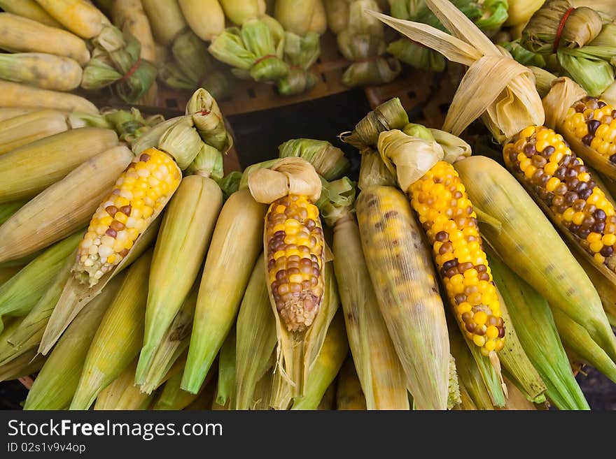 Fresh corn from Thailand for your good health.