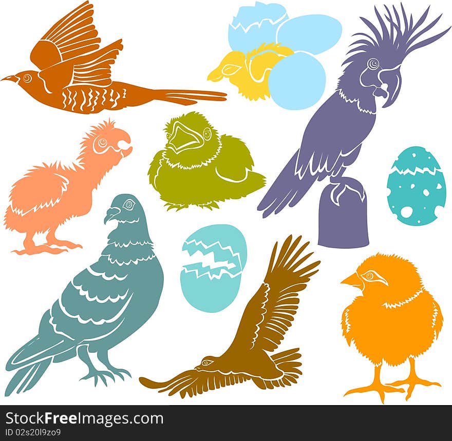 Set of a various birds