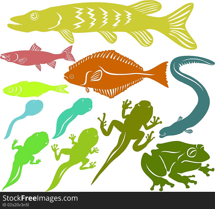 Set of a various fish and frog