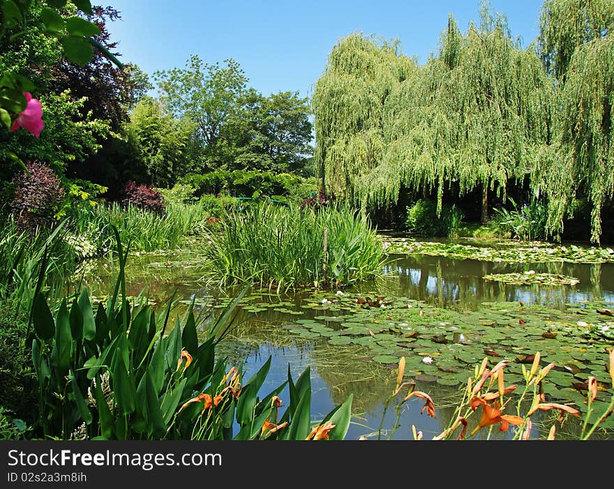 Peaceful Garden with Lily Pond