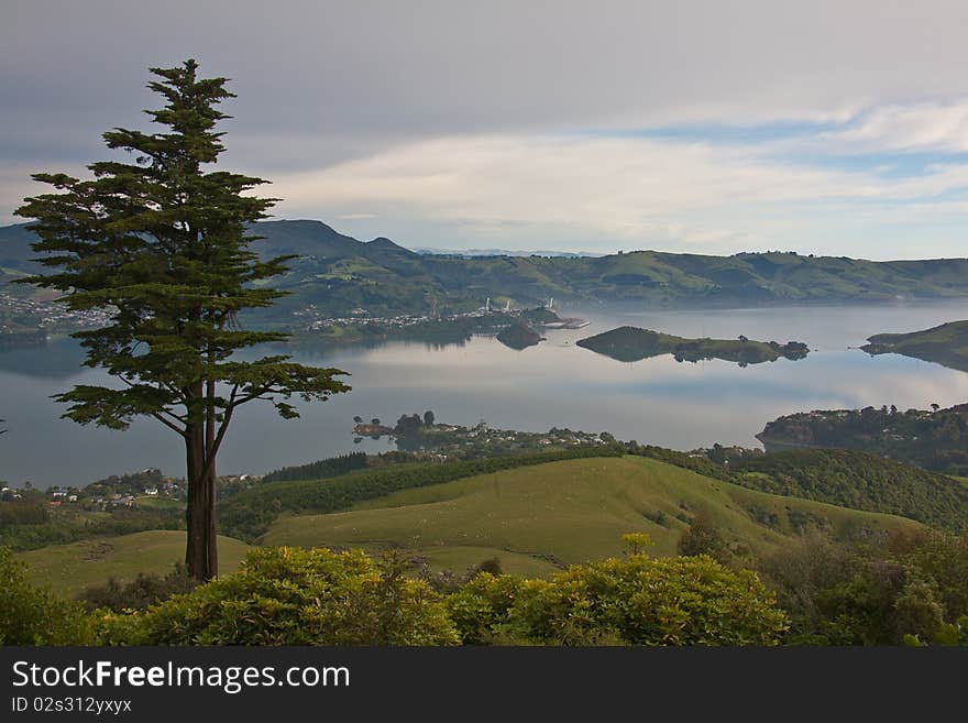 View from Larnach Castle