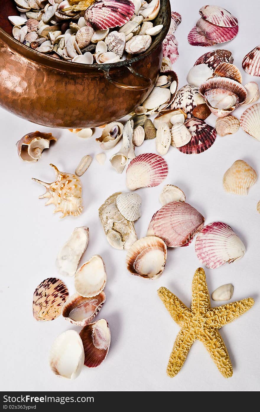 Old beautiful cooper pot full of hundreds of seashell and a special sea star shell. Old beautiful cooper pot full of hundreds of seashell and a special sea star shell