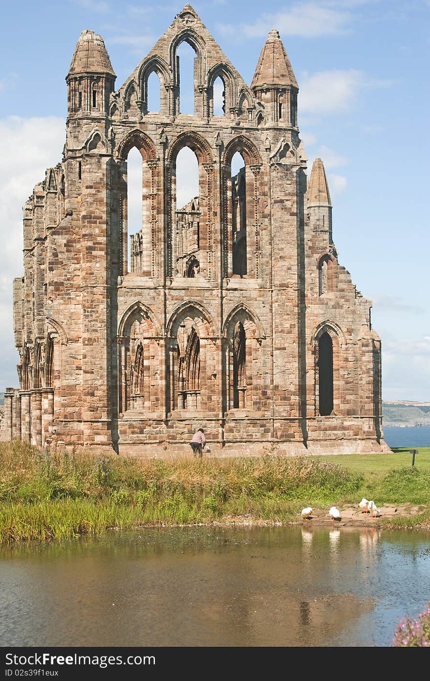 An image of Whitby Abbey with white ducks at the edge of the lake and a woman reading the text on a plaque. An image of Whitby Abbey with white ducks at the edge of the lake and a woman reading the text on a plaque.