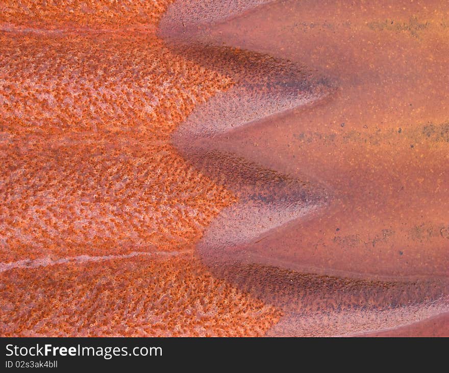 3D effect created by water on rusty corrugated iron sheet. 3D effect created by water on rusty corrugated iron sheet.