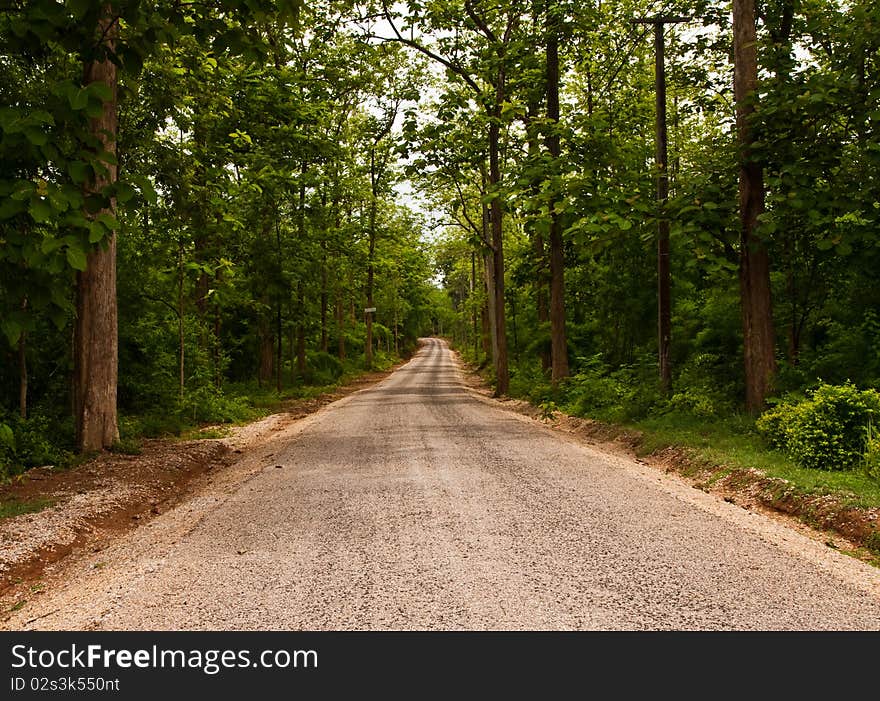 Road in forest of Thailand