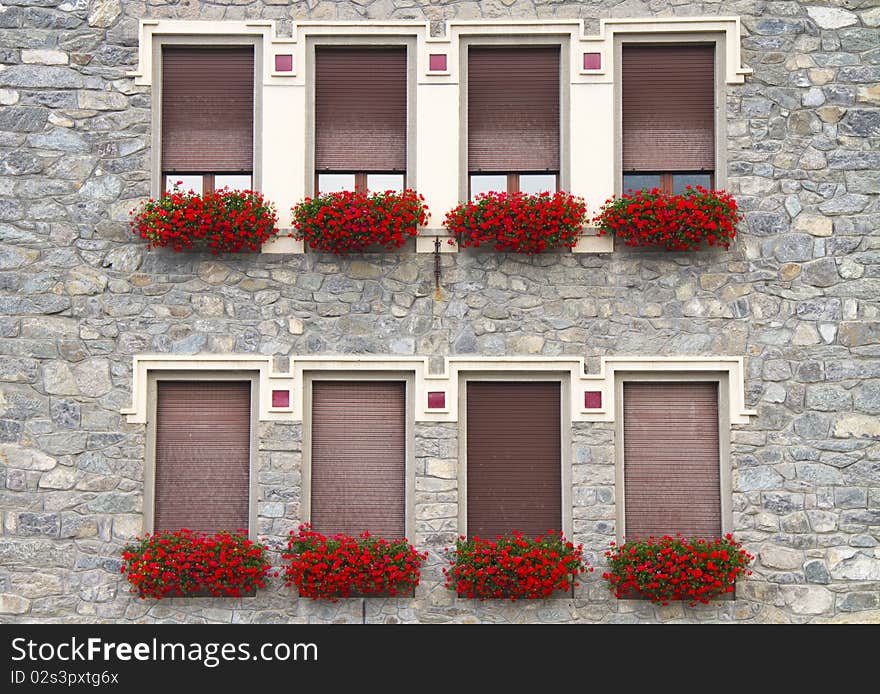 Series of windows with plants. Series of windows with plants