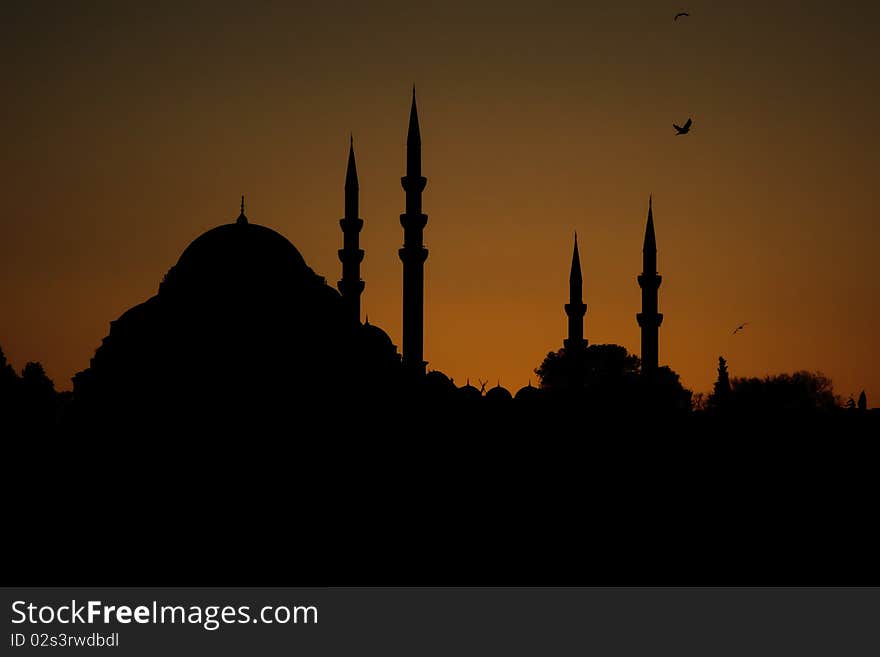 Sunset at Istanbul  With Mosque and birds