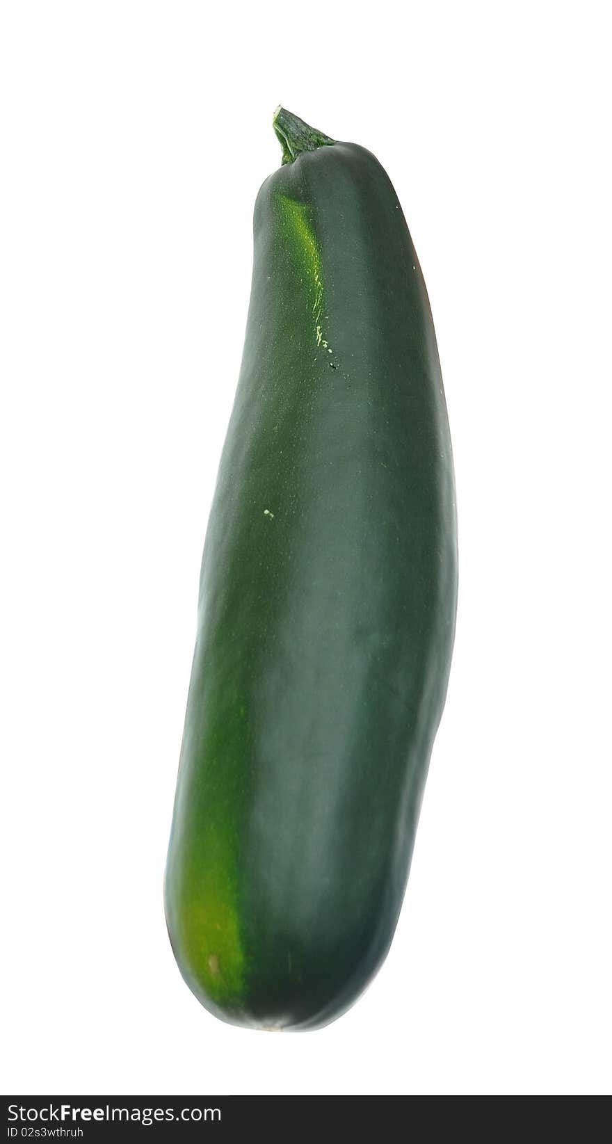 Large green zucchini vegetable plant isolated on white background. Large green zucchini vegetable plant isolated on white background