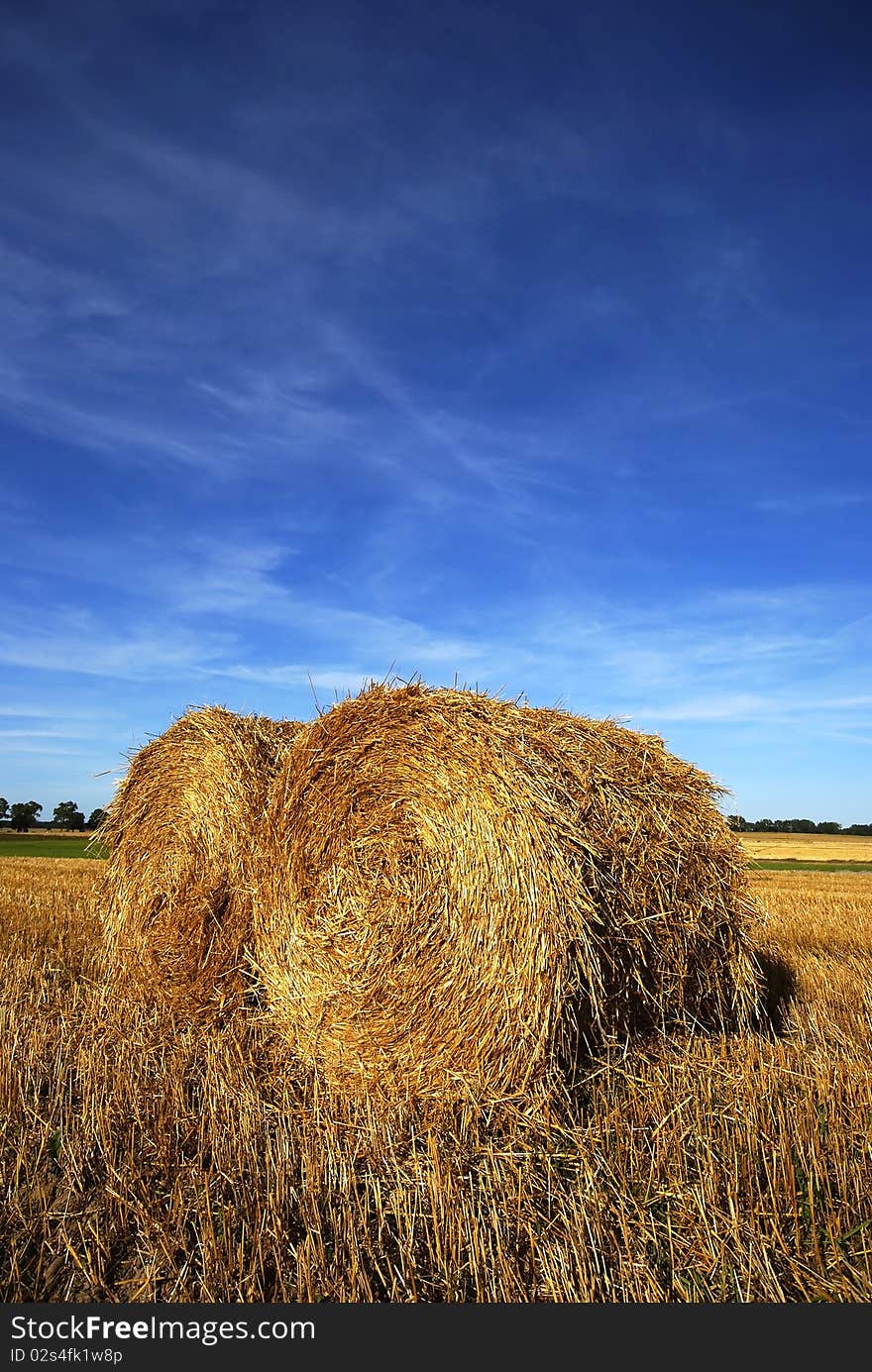 On the harvest